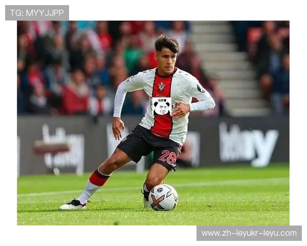 英超球队圣徒：南安普顿队（圣徒）的球队文化与竞争力